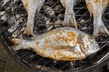 Izgara dorado. Lezzetli ızgara sağlıklı balık..