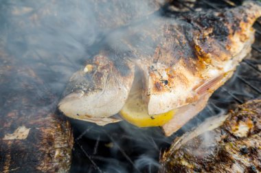 Izgara dorado. Lezzetli ızgara sağlıklı balık..