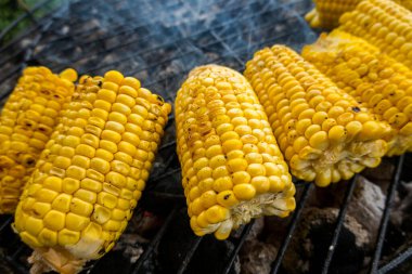 Izgara mısır. Izgara sebze, sağlıklı yemek..