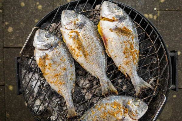Dorado Parrilla Delicioso Pescado Sano Parrilla — Foto de Stock