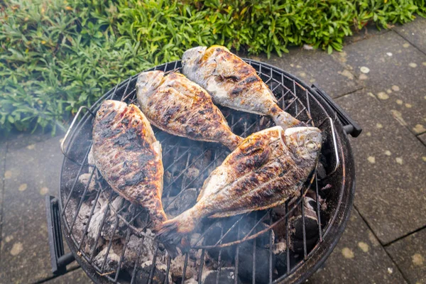 Dorado Parrilla Delicioso Pescado Sano Parrilla —  Fotos de Stock