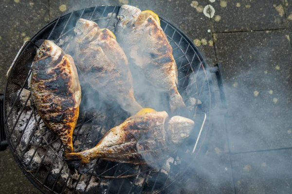 Dorado Parrilla Delicioso Pescado Sano Parrilla —  Fotos de Stock