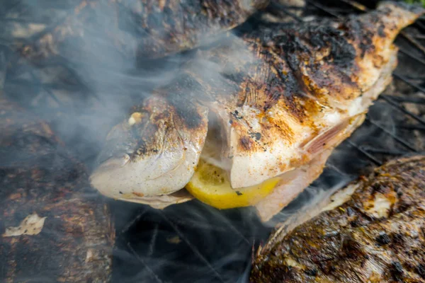 Dorado Parrilla Delicioso Pescado Sano Parrilla —  Fotos de Stock