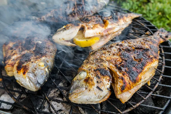 Dorado Parrilla Delicioso Pescado Sano Parrilla —  Fotos de Stock