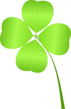 dört yapraklı yonca izole St patrick's day için