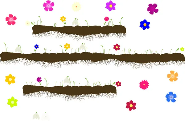 Vector met grond met wortels, gras met bloemen-sneeuwklokjes, anjers, vergeet-mij-nots, gerbera, asters groeien — Stockvector