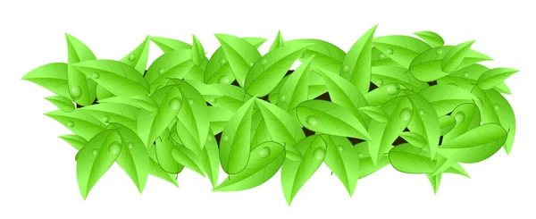 Banner made of leaves with space text isolated — Stock Photo, Image