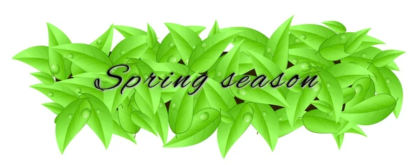 Baner wykonane z liści z napisem "na wiosnę" — Zdjęcie stockowe