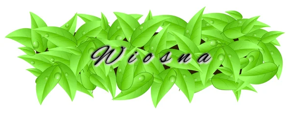 Banner made of leaves with inscription "spring" in Polish — Stock Photo, Image