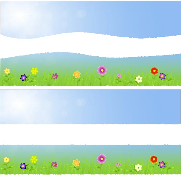 Torn paper middle spring landscape with flowers,grass,raindrops — Stock Photo, Image