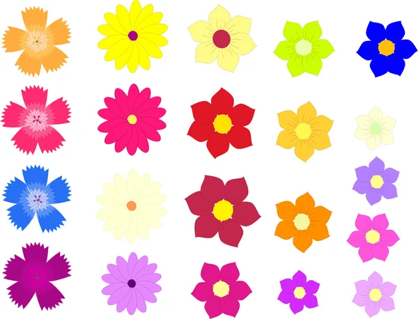 Vector of colorful flowers isolated on a white background — Stock Vector