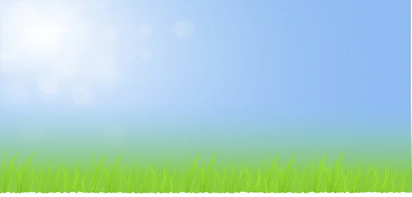 Zelené trávě s modrou oblohu krajina — Stock fotografie