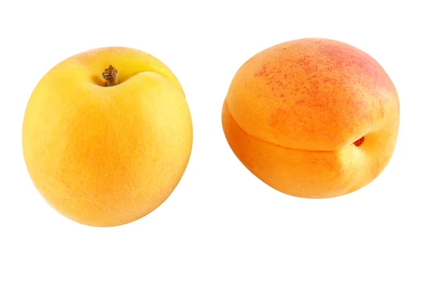 Two ripe apricots - optional — Stock Photo, Image