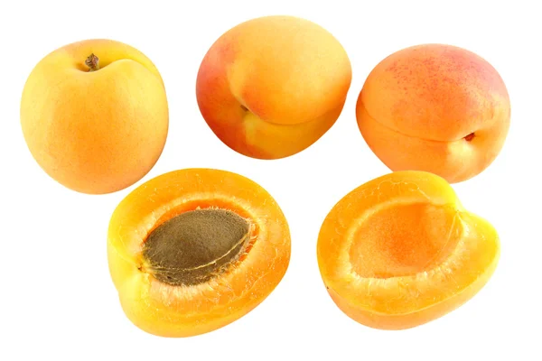 Vier Aprikosen - ein Schnitt - optional — Stockfoto