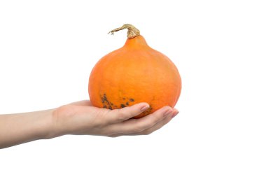 Beyaz arka planda izole edilmiş turuncu Hokkaido kabağı