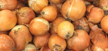 Bir sürü altın soğan, doku arka planı. Taze taze soğan yığını, yüksek kalite.