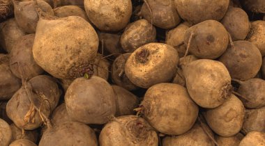 Bir sürü kirli pancar, doku arka planı. Taze pancar deseni yığını, yüksek kalite.