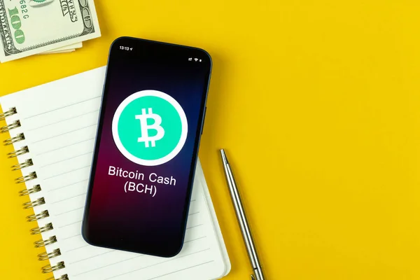 Bitcoin Cash Bch Символ Торгівля Криптовалютою Цифровими Віртуальними Грошима Банкінг — стокове фото