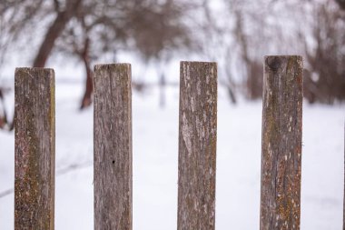 Önünde ve arkasında bariyer fotoğrafı olan tahta çitler.
