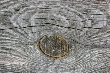 Ahşap döşeme dokusu yakın plan ve yüksek detaylı