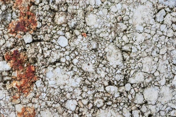 Piedra Porosidad Gris Textura Alta Foto Fondo Detallada — Foto de Stock