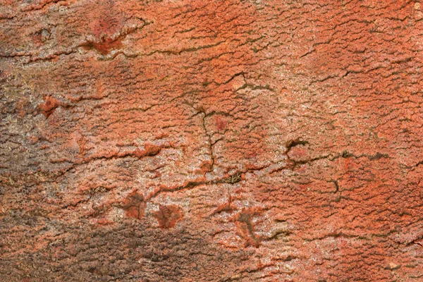 Yakın Çekim Tuğla Dokusu Kırmızı Tuğla Arka Plan Yüksek Detaylı — Stok fotoğraf