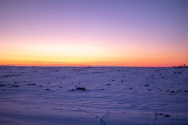 Gün batımında kış alanı, mor renk arkaplanı