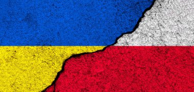 Ukrayna ve Polonya bayrakları. Destek ve yardım, silah ve askeri teçhizat, ortaklık ve diplomasi, insani yardım ve Ukraynalı mültecilere yapılan bağışlar