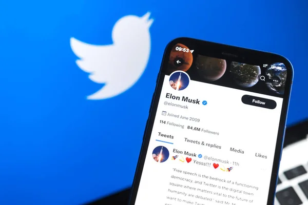 Elon MuskとTwitterのロゴの背景 大きなソーシャルメディアプラットフォームの概念を販売する — ストック写真