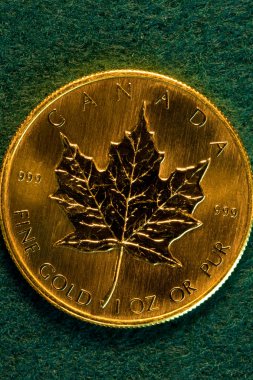 bir troy ons altın sikke