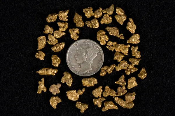 plaser altın nuggets