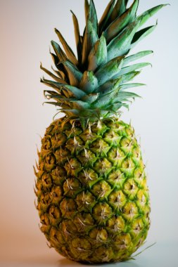 Tüm ananas