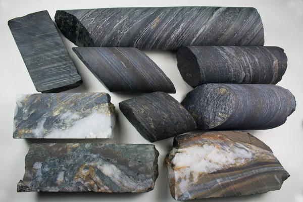 çekirdek örnekleri homestake altın madencilik şirketi üzerinden ayrıntısına