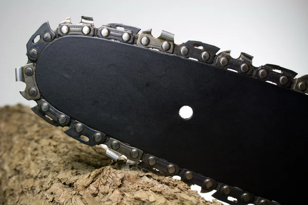 Elektrikli testere oturum