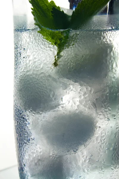 Hoja de menta en agua helada —  Fotos de Stock