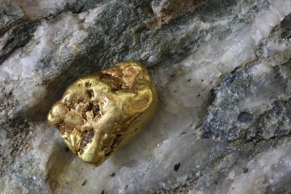 Natural California USA Placer Gold Nugget — Stock Photo, Image