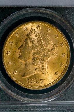 1897 ABD 20 dolar özgürlük altın sikke