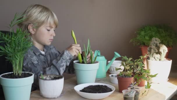 Tencereye Çiçek Eken Bir Çocuk Kapalı Alandaki Bitkileri Nakleden Çiçekleri — Stok video