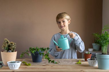 Çocuk saksıda çiçek dikip suluyor. Kapalı alandaki bitkileri nakleden, ev çiçekleri yetiştiren ve yetiştiren çocuklar. Bitkiler konsepte önem verir. Ev Bahçesi.