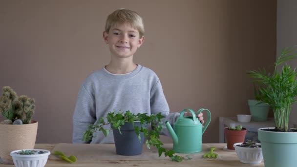 Portrait Smiling Boy Planting Watering Flower Pot Child Transplanting Indoor — стоковое видео
