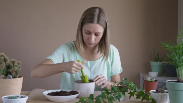 Dívka Zasadila Květinu Hrnce Žena Která Transplantuje Vnitřní Rostliny Pěstuje — Stock video