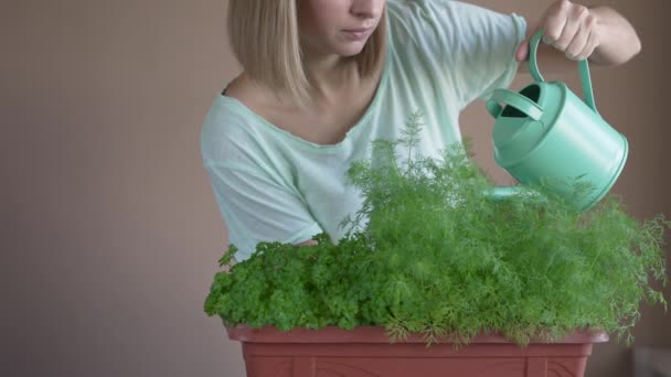 Mädchen Das Eine Grüne Blume Einem Topf Gießt Zimmerpflanzen Pflanzen — Stockvideo