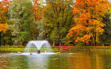 Peterhof, St. Petersburg, Rusya 'daki Palace Park' ta sonbahar.