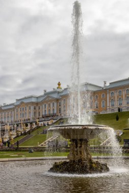 Peterhof, St. Petersburg, Rusya 'daki sarayın (Rus kraliyet konutu) önündeki çeşme