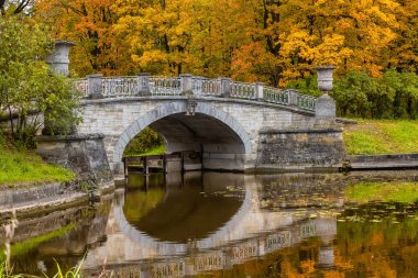 Slavyanka nehri üzerindeki köprü. Sonbahar manzarası. Pavlovsk Sarayı Parkı. Saint-Petersburg, Rusya