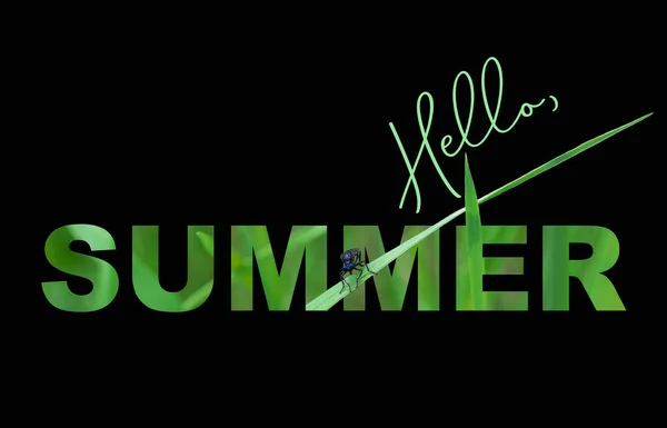 Hello Summer Inscription Element Advertisement Design Unique Poster Banner Headline — Stock Photo, Image