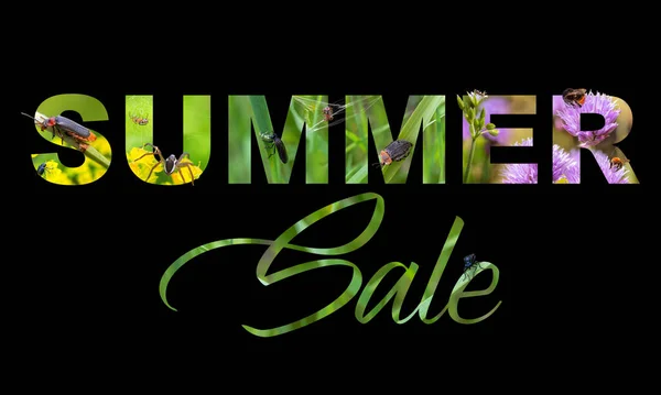 Summer Sale Poster Collage Photos Summer Theme Element Advertisement Design — Stock Photo, Image