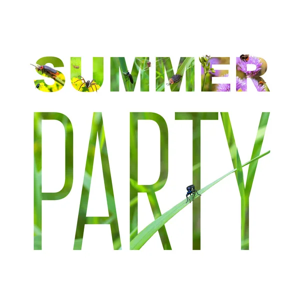 サマーパーティーポスター 夏をテーマにした写真のコラージュ 広告の要素 ユニークなポスター バナーなどのデザイン — ストック写真