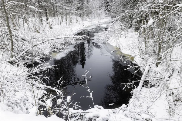 Río Khikhniyoki República Karelia Rusia — Foto de Stock