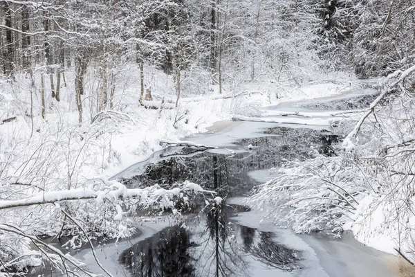 Río Khikhniyoki República Karelia Rusia — Foto de Stock